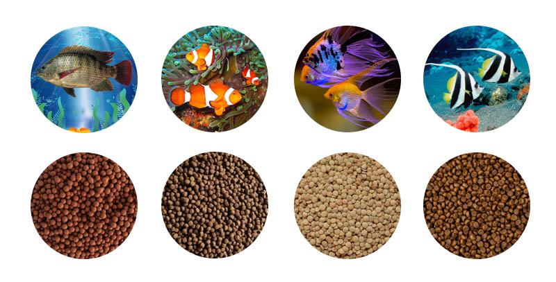 fish feed production line